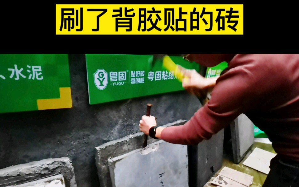 墙上砖脱落怎么办视频(墙面砖脱落怎么办怎样修补)